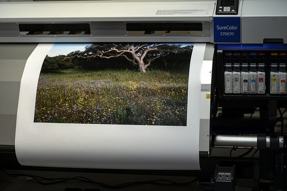kodak picture kiosk inkjet or laser